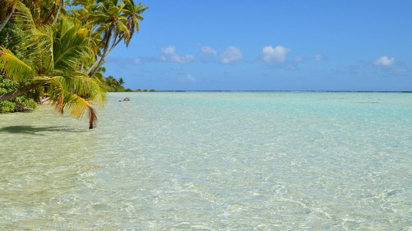 TOP 10 des incontournables de la Corse