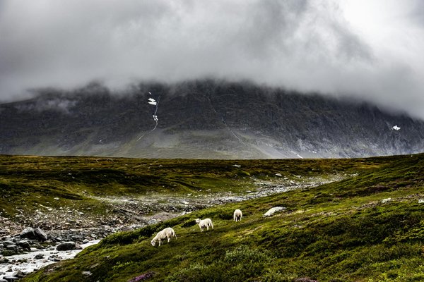 Luge d'été à Chamonix