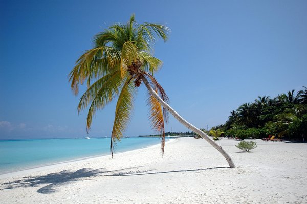 5 conseils pour choisir le meilleur endroit pour nager en eau libre