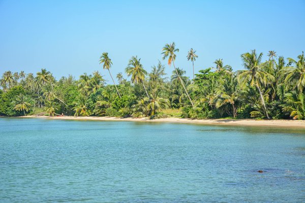 Les 5 meilleurs feux d'artifice en France pour la prise de la Bastille